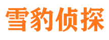 新蔡侦探公司